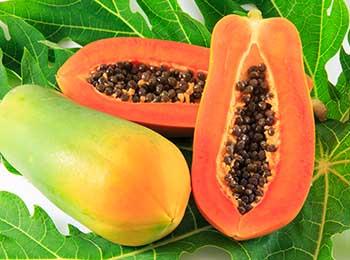 papaya