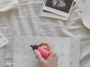 Calendario Semanal de Embarazo