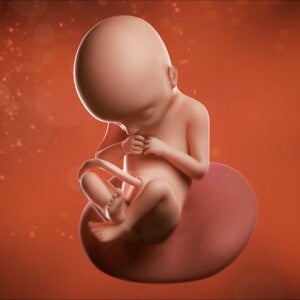 Feto de 22 semanas de embarazo