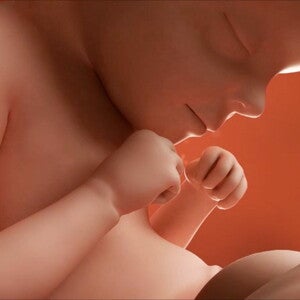 Feto de 29 semanas de embarazo