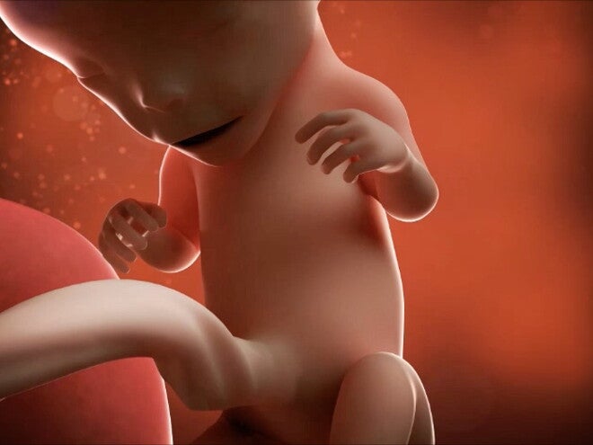 Estás llegando al final de tu primer trimestre. ¡Felicidades! Estás llegando al final de tu primer trimestre. ¡Felicidades!