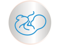 icon pregnancy